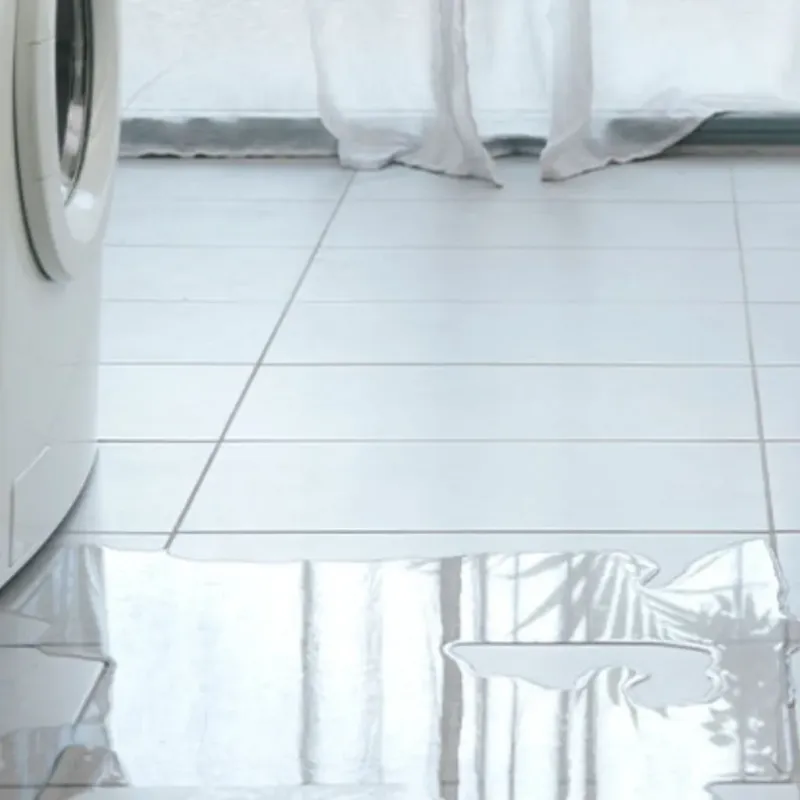 Appliance Leak Cleanup in Athens, TN