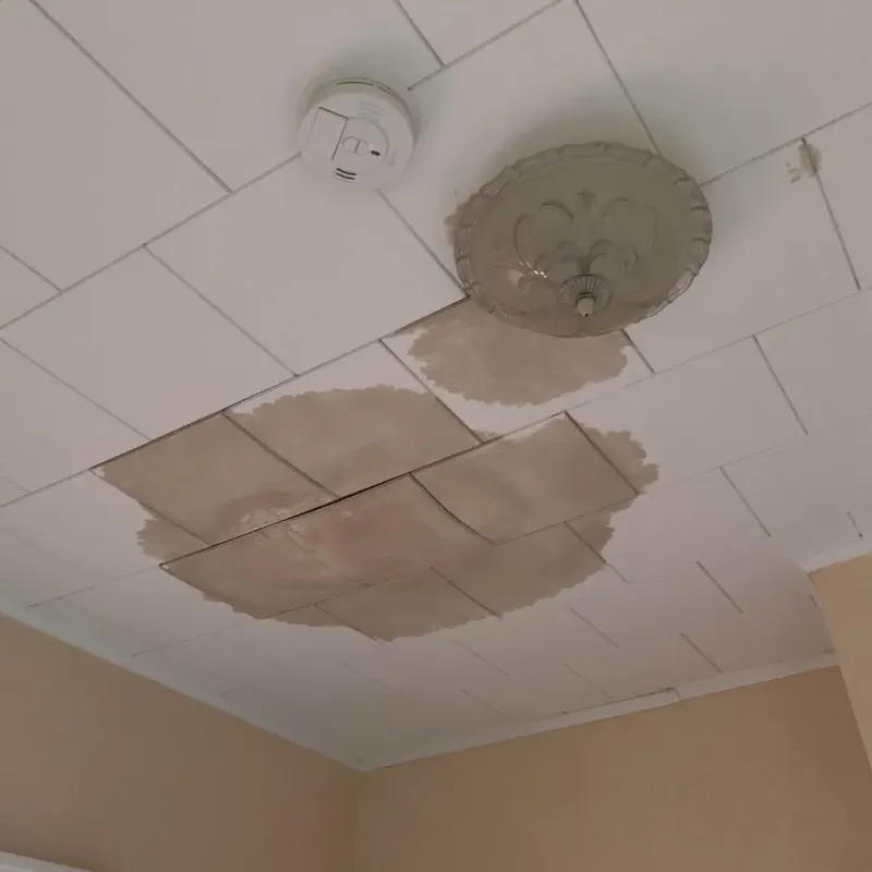 Ceiling Water Damage Repair in Athens, TN