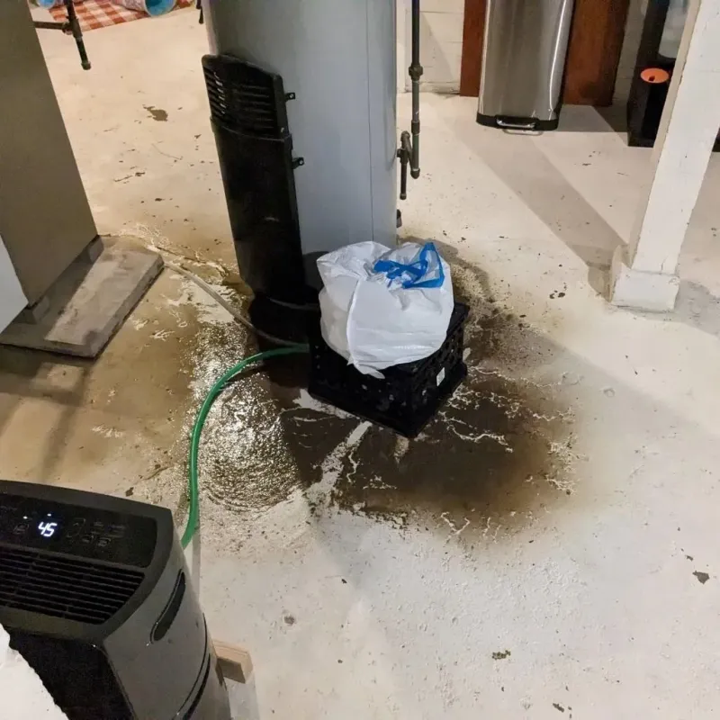 Sewage Backup Cleanup Service in Athens, TN